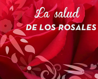rosales