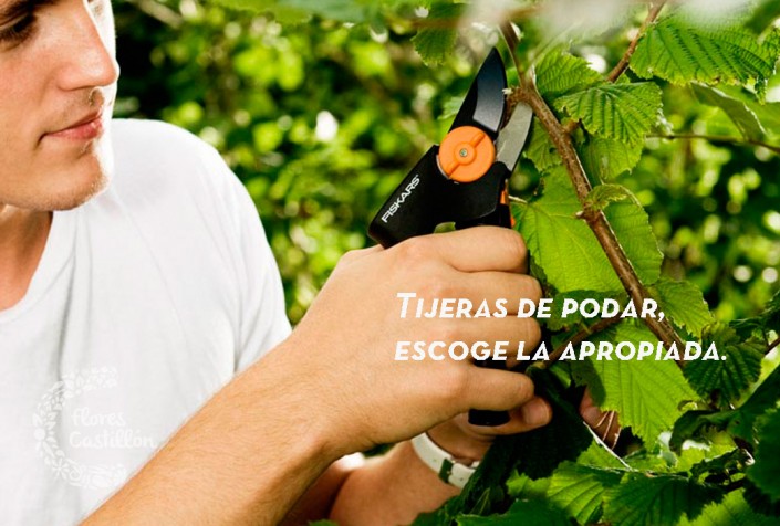A la hora de podar, escoge la tijera adecuada | Flores Castillon