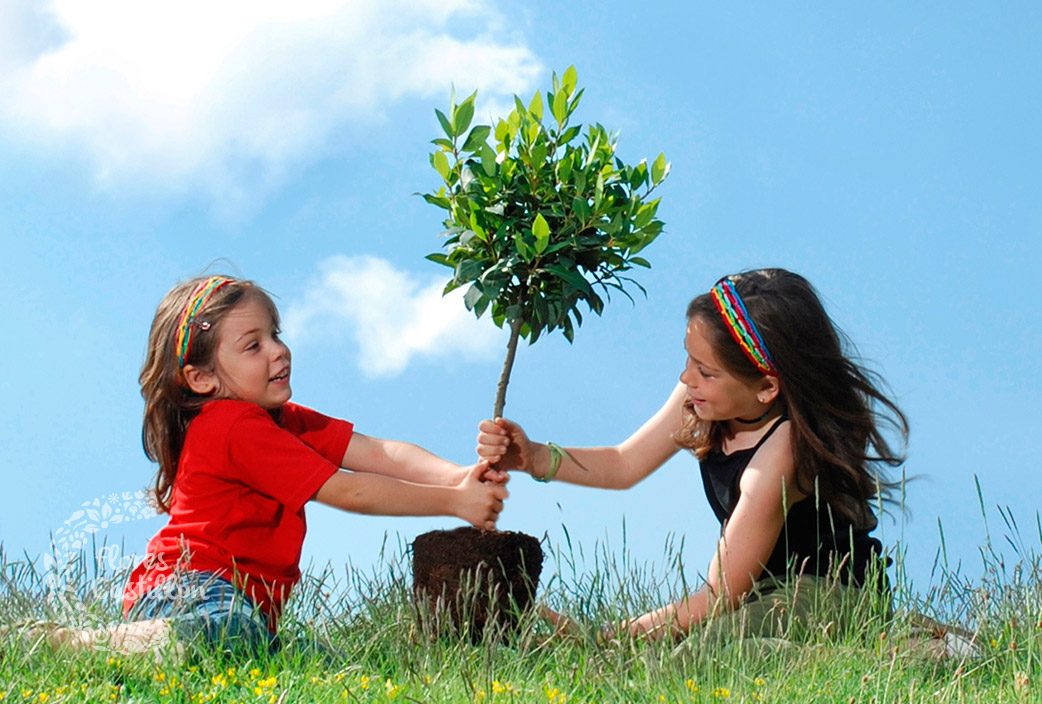 Resultado de imagen de plantando arboles