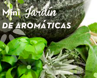 destacado-aromaticas
