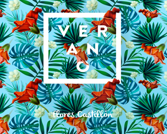 destacado_blog_verano_2015
