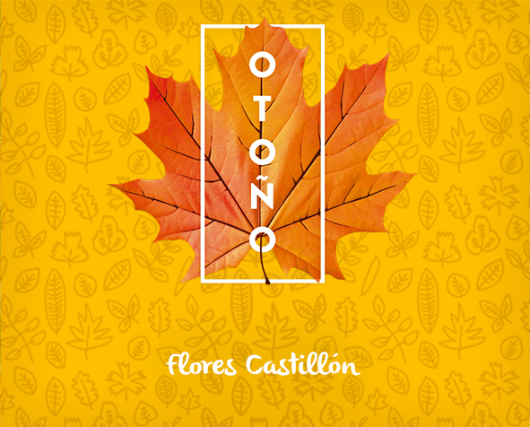 destacado_blog_otoño_2014
