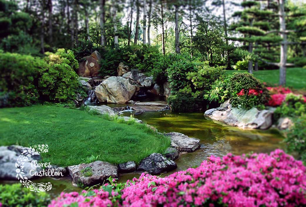 Consejos Para Crear Un Jardin Japones Flores Castillon