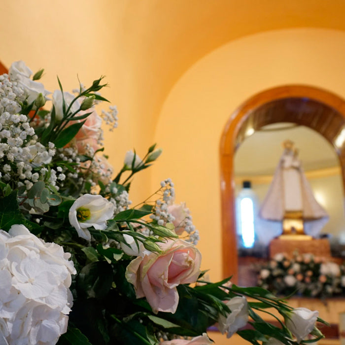 Boda en la Ermita de la Alegría Monzón
