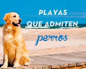 Playas que admiten perros