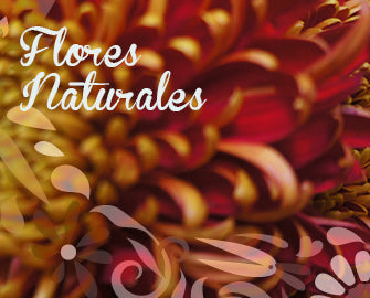 Flores cortadas