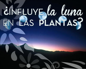 ¿Influye la luna en las plantas?