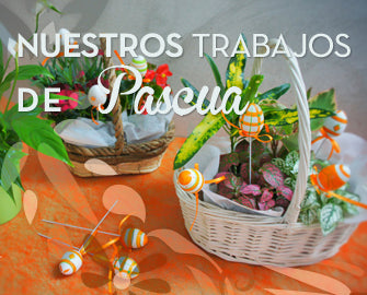 Nuestros trabajos de Pascua