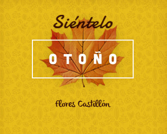 Otoño, Siéntelo con Flores Castillón
