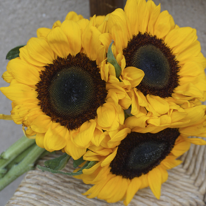 Girasoles en la boda de Javi y Marga
