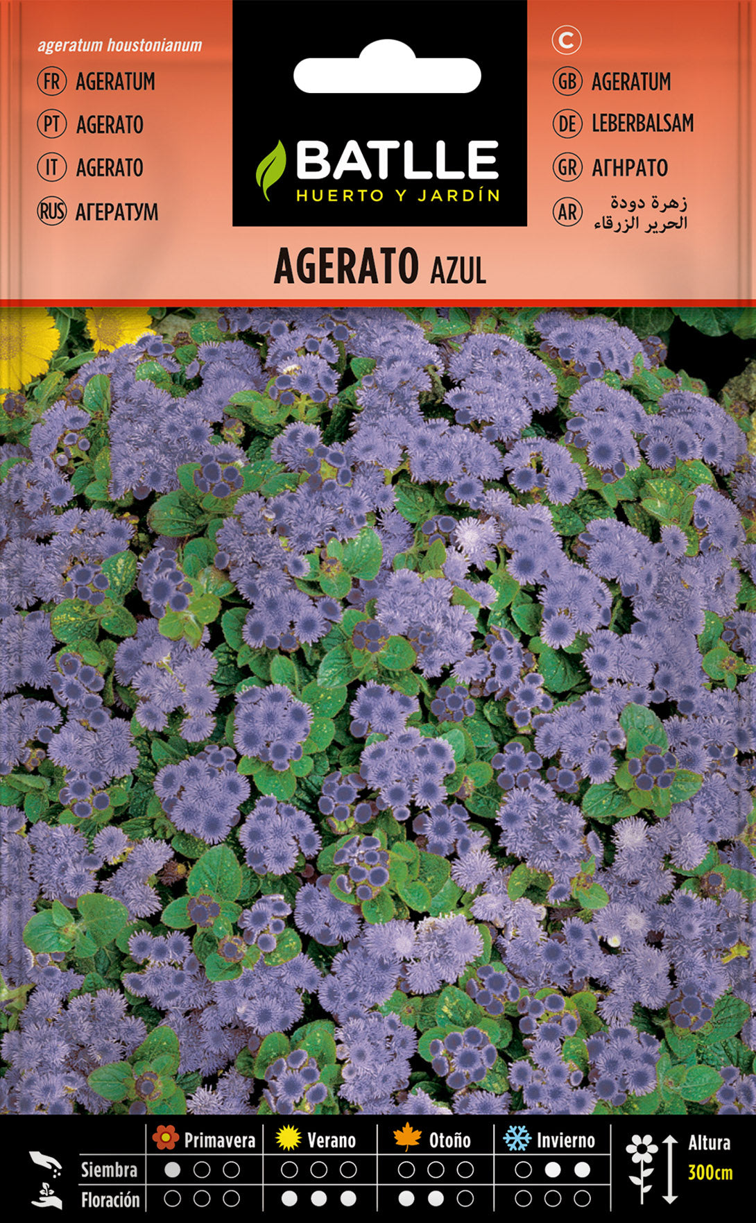 Agerato Azul