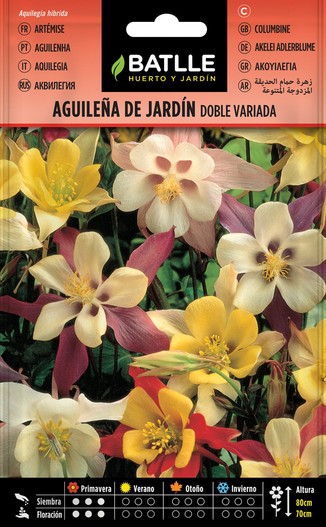 Aguileña De Jardin Hibrida Doble Variada