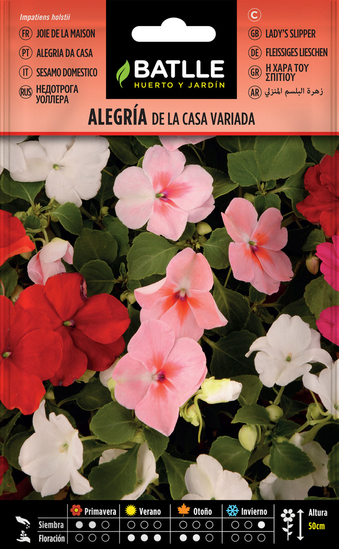 Alegria de la casa variada