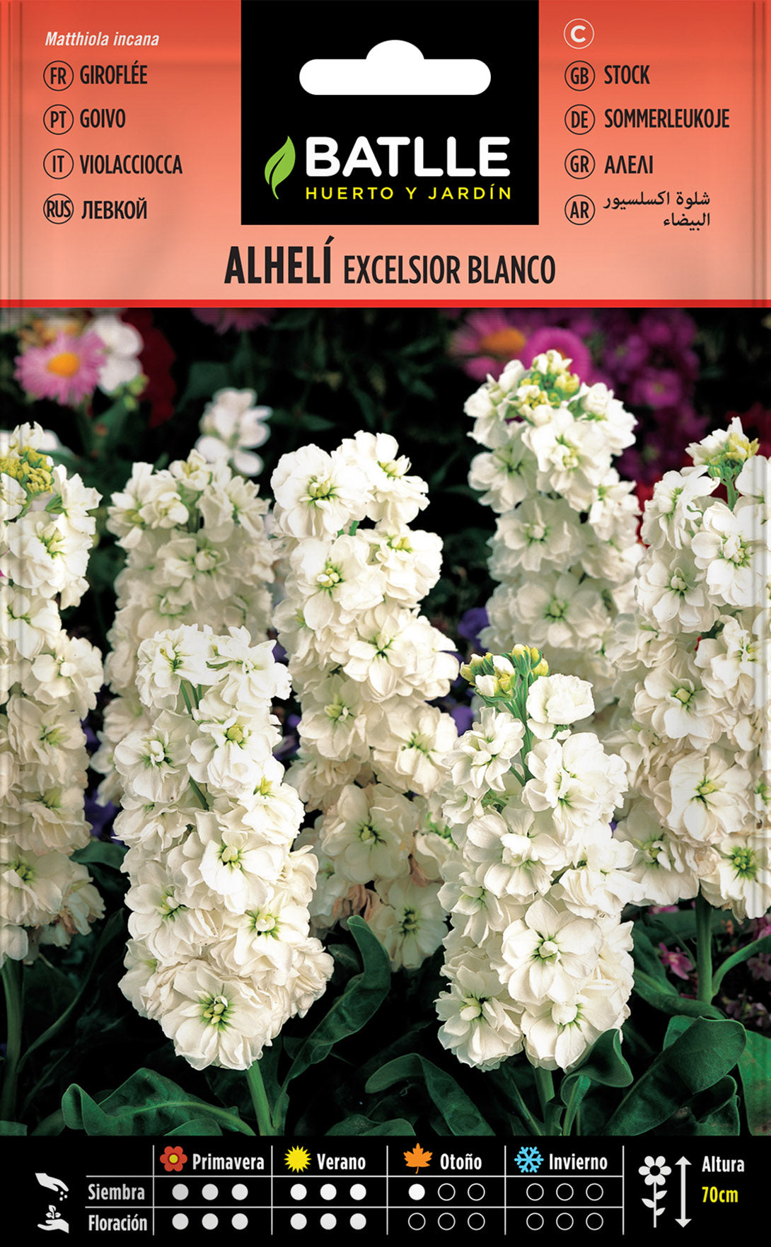Alheli Excelsior Gigante Blanco