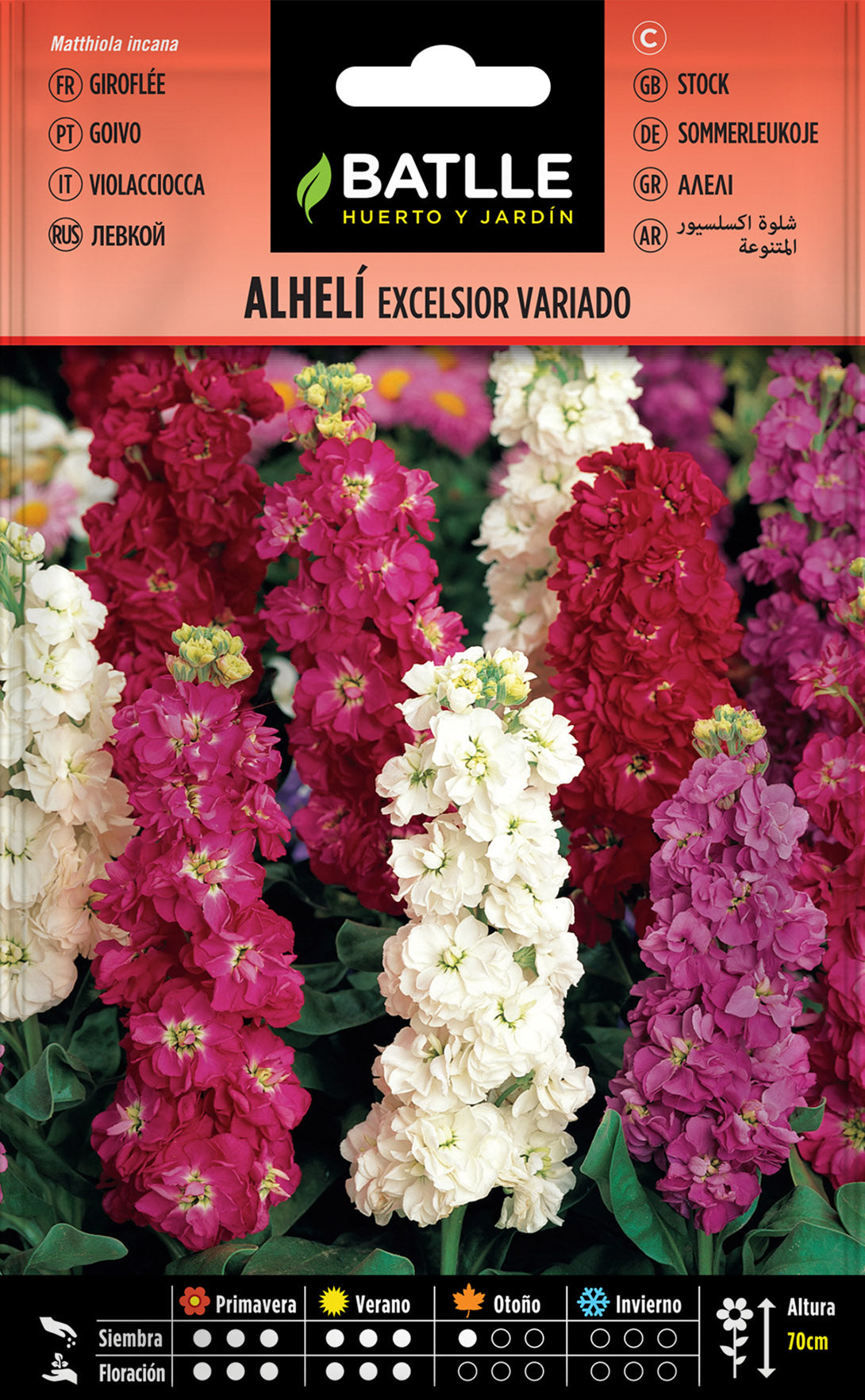 Alheli Excelsior Gigante Variado