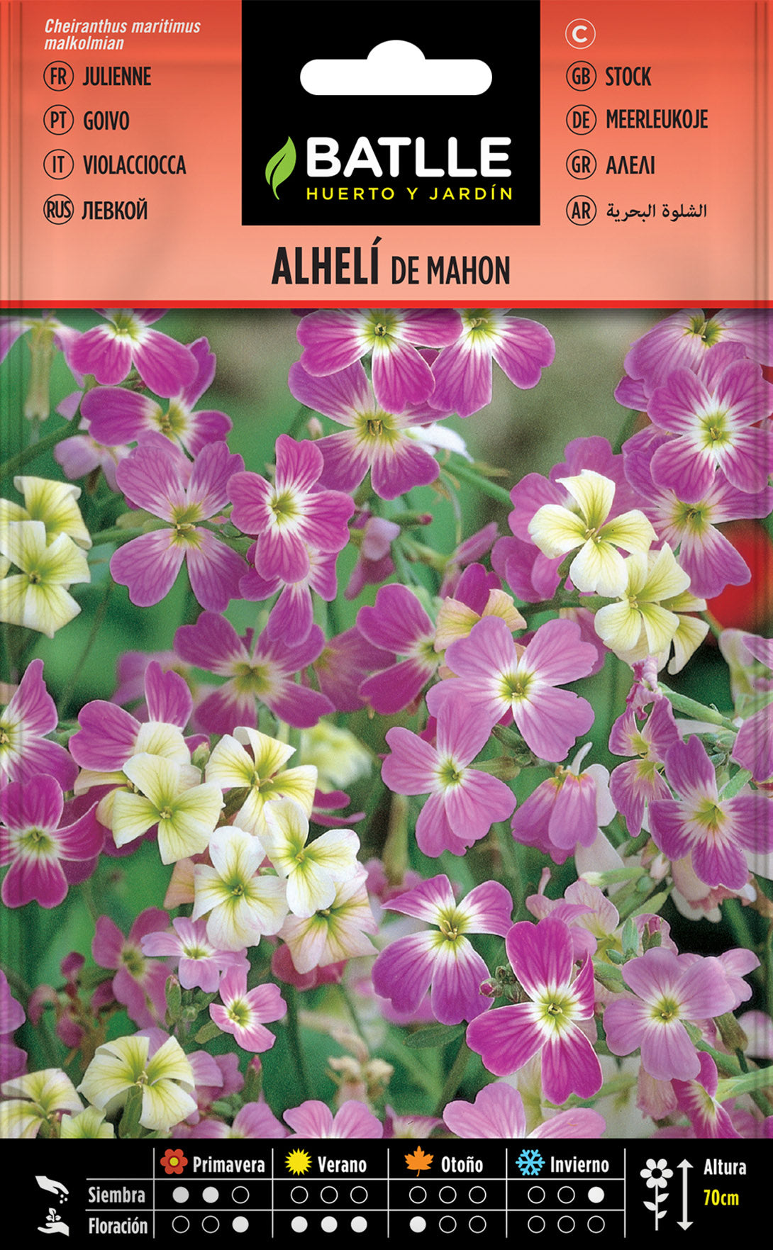 Alhelí De Mahón Variado