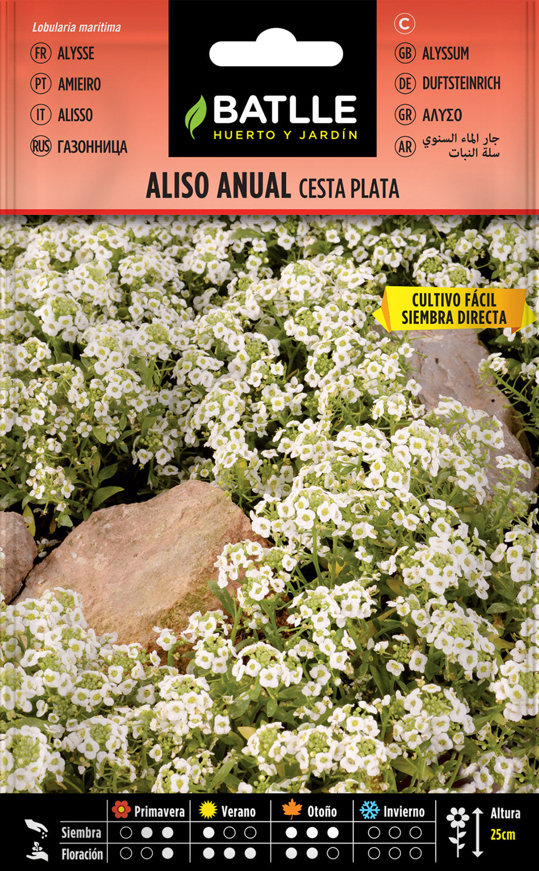 Aliso Anual Cesta De Plata