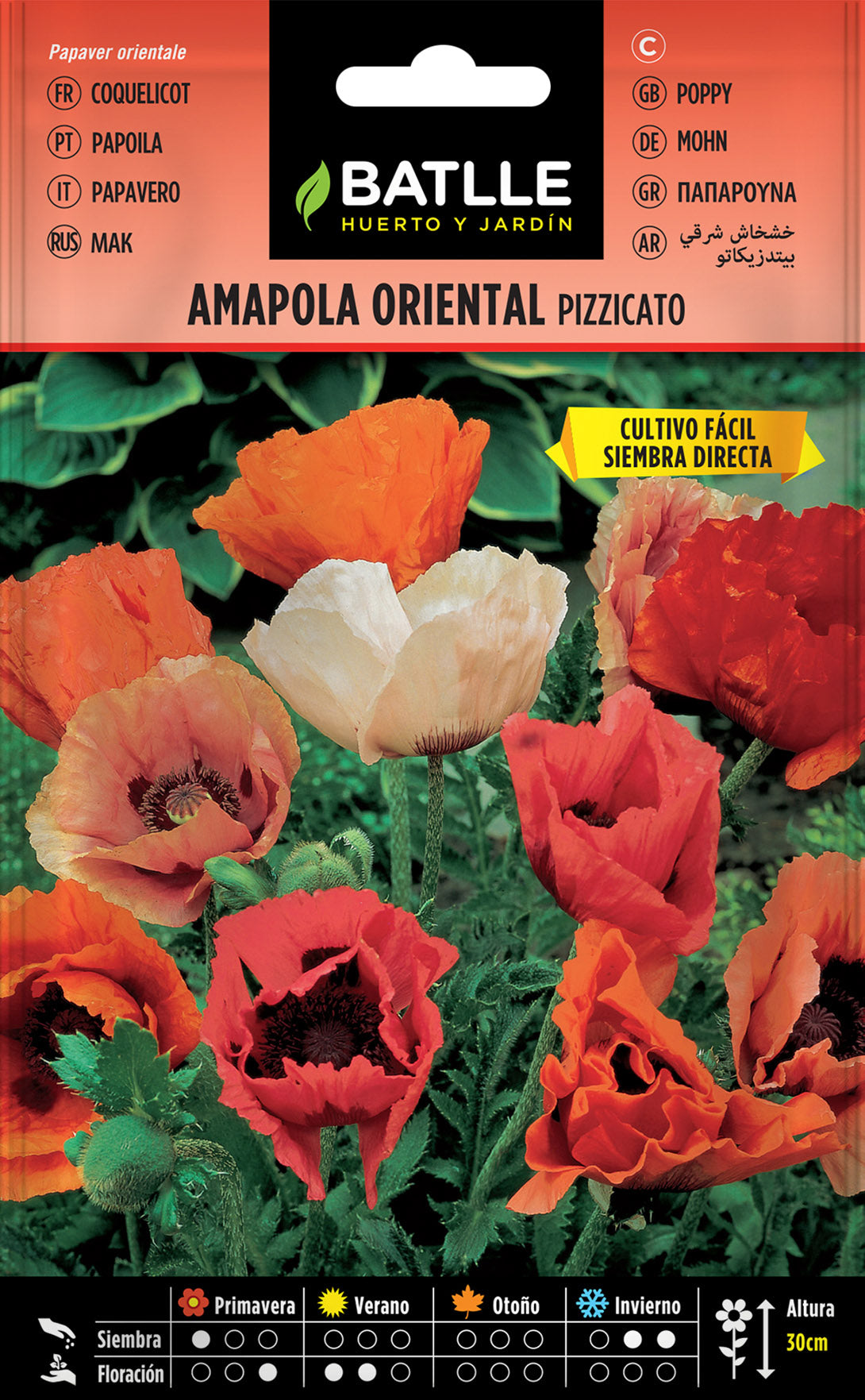 Amapola Oriental Pizzicato