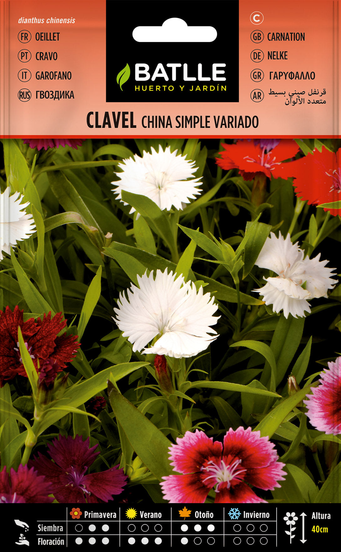 Clavel Chino Simple Variado