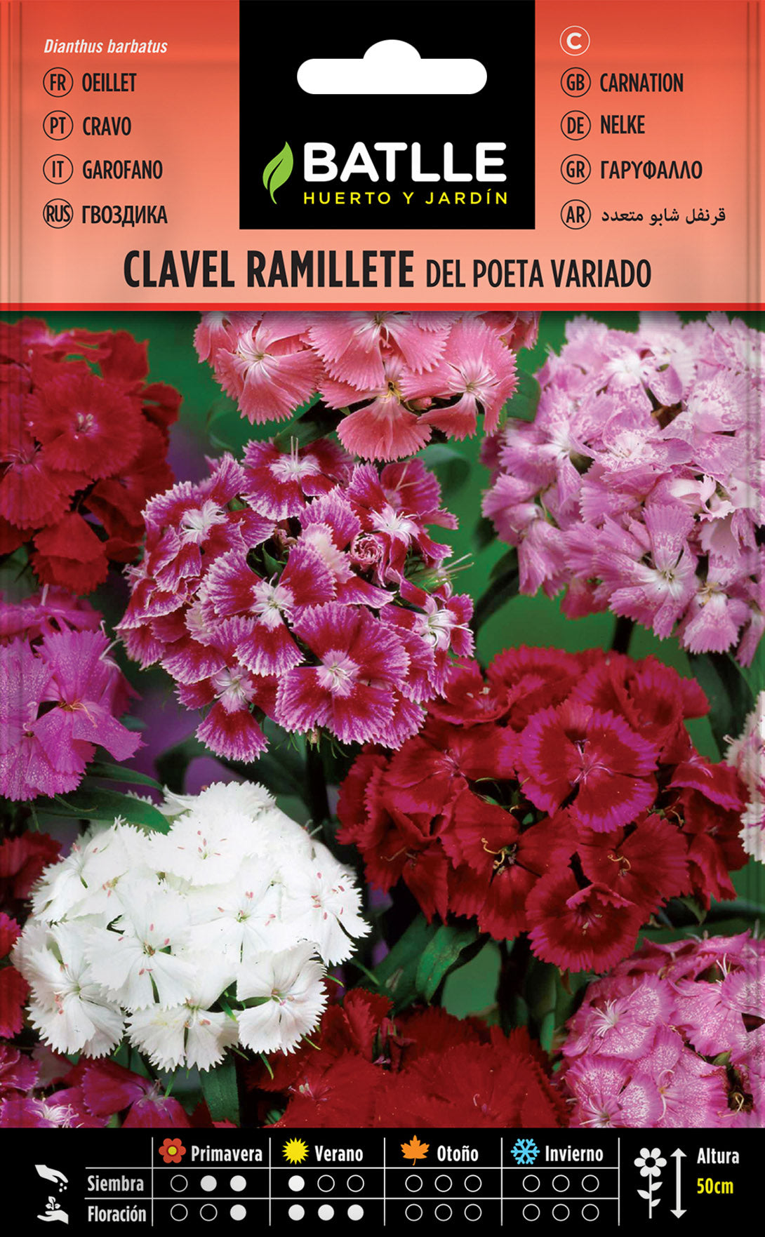 Clavel Ramillete Del Poeta – Doble