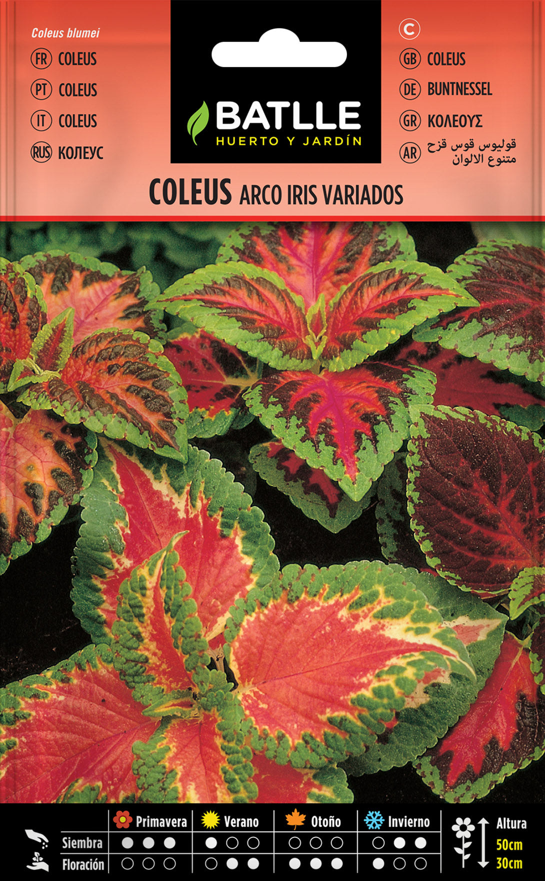 Coleus Arco Iris Variados