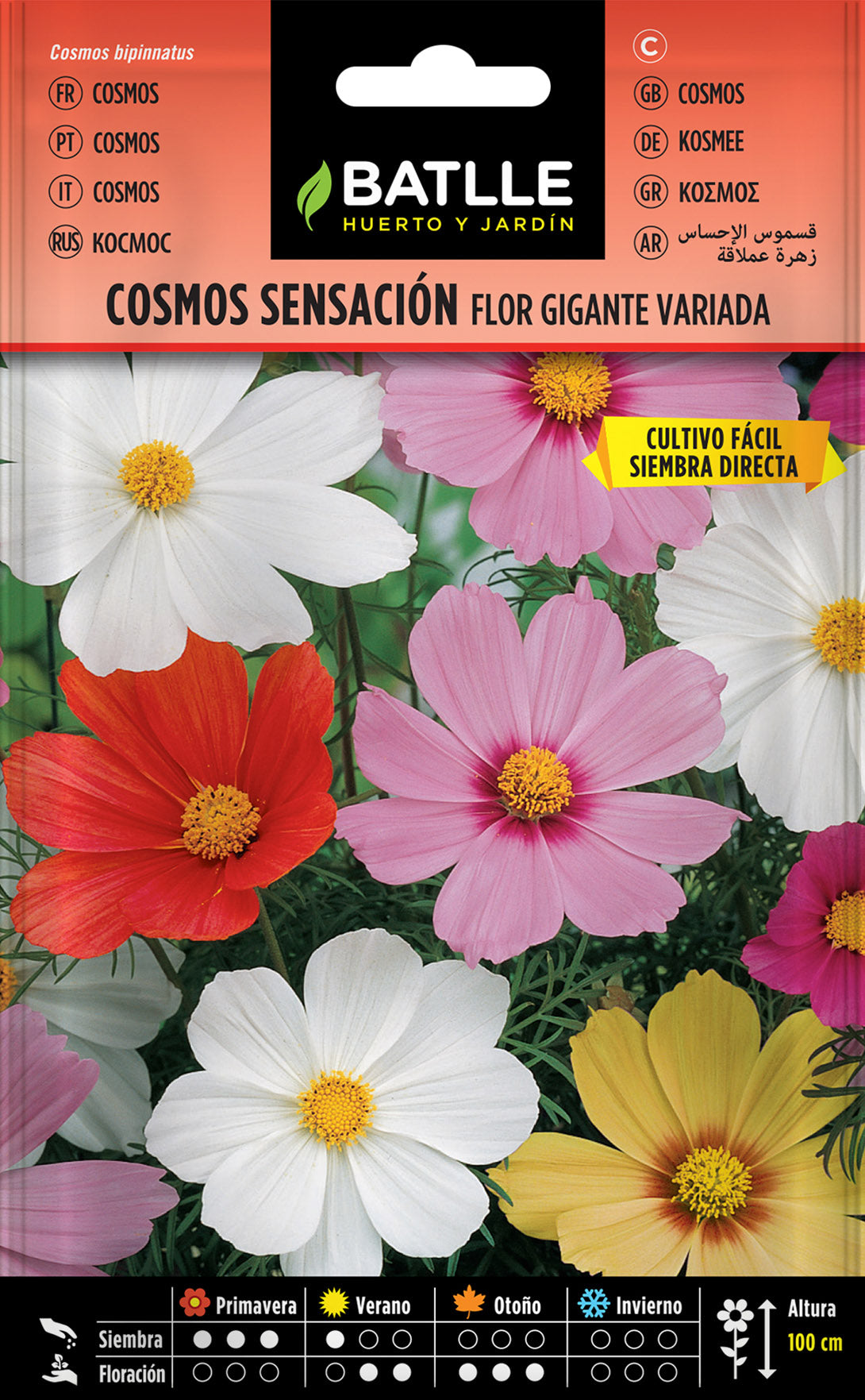Cosmos Sensacion Flor Gigante