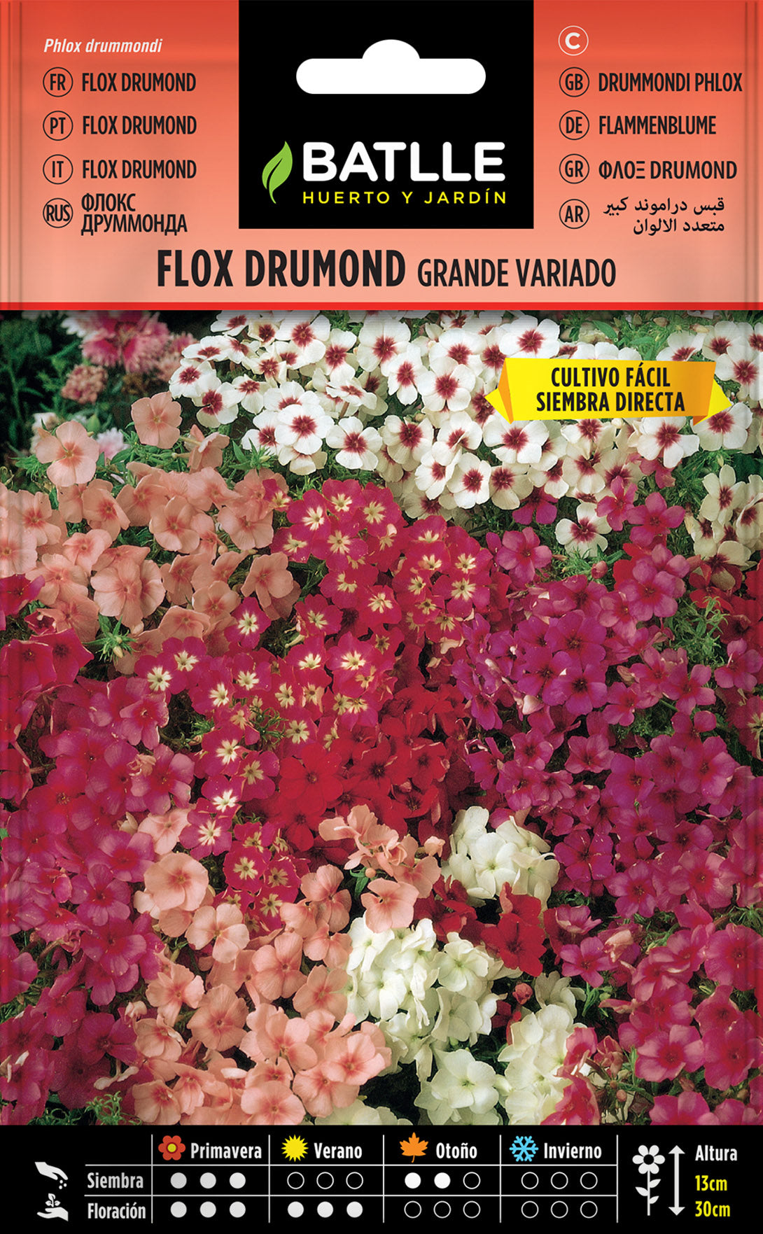 Flox Drumond Flor Grande Variada