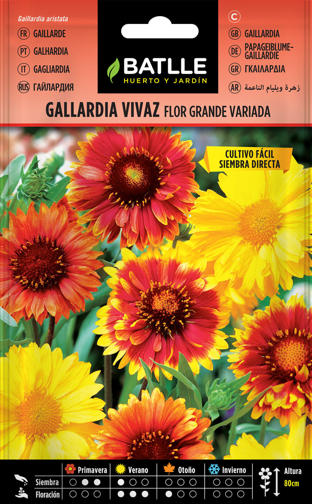 Gallardia Vivaz Flor Grande Variada