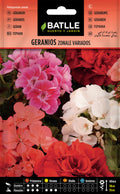 Geranios Zonale Variados