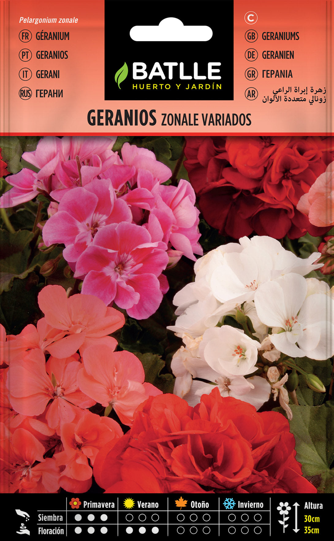 Geranios Zonale Variados