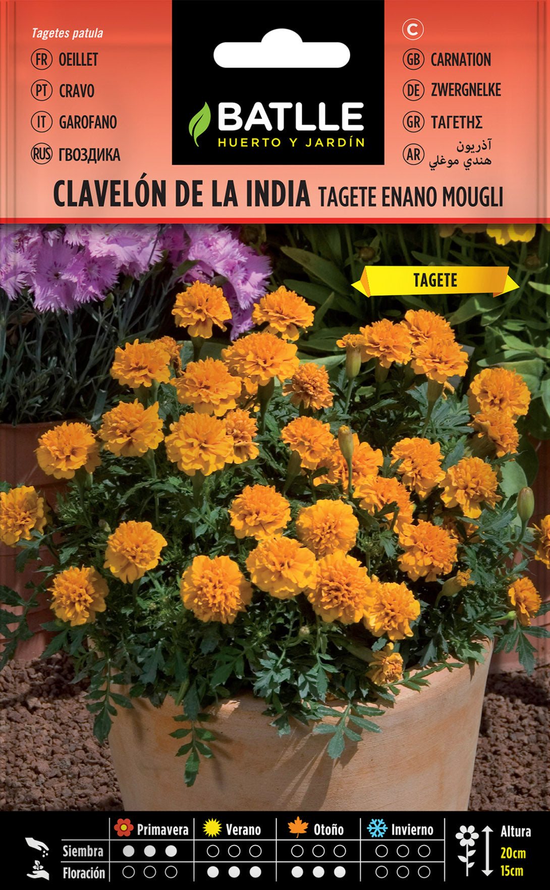 Clavelón De La India Enano Mowgli