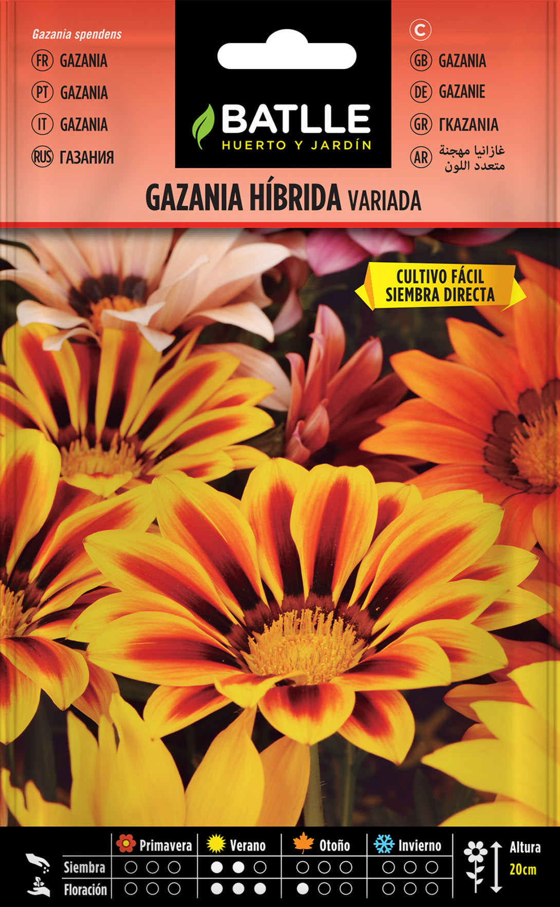 Gazania Híbrida Splendens