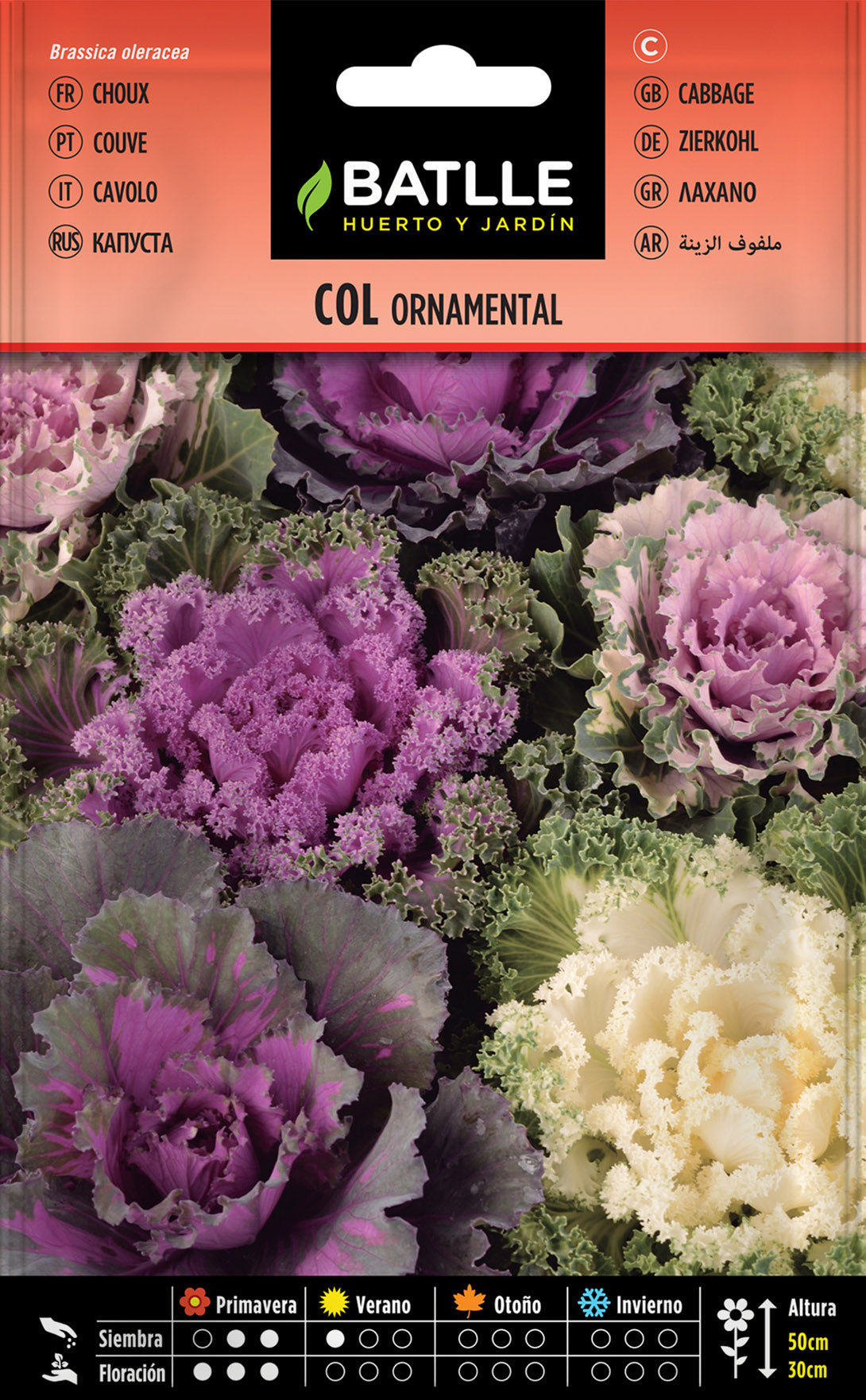 Col Ornamental Variada