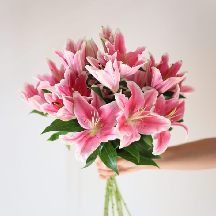 Lelie - Ramo de lilium rosa