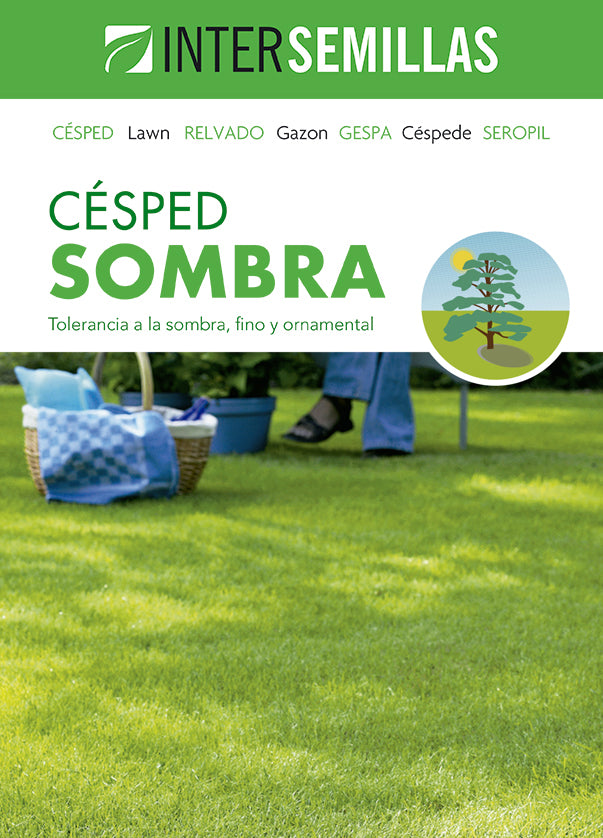 Intersemillas - Semillas de césped sombra