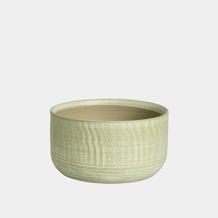 Herstera - Bowl Camar