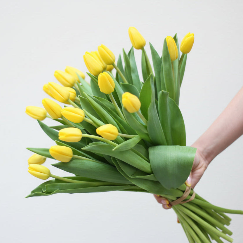 Gele Tulp - Ramo de tulipanes amarillos