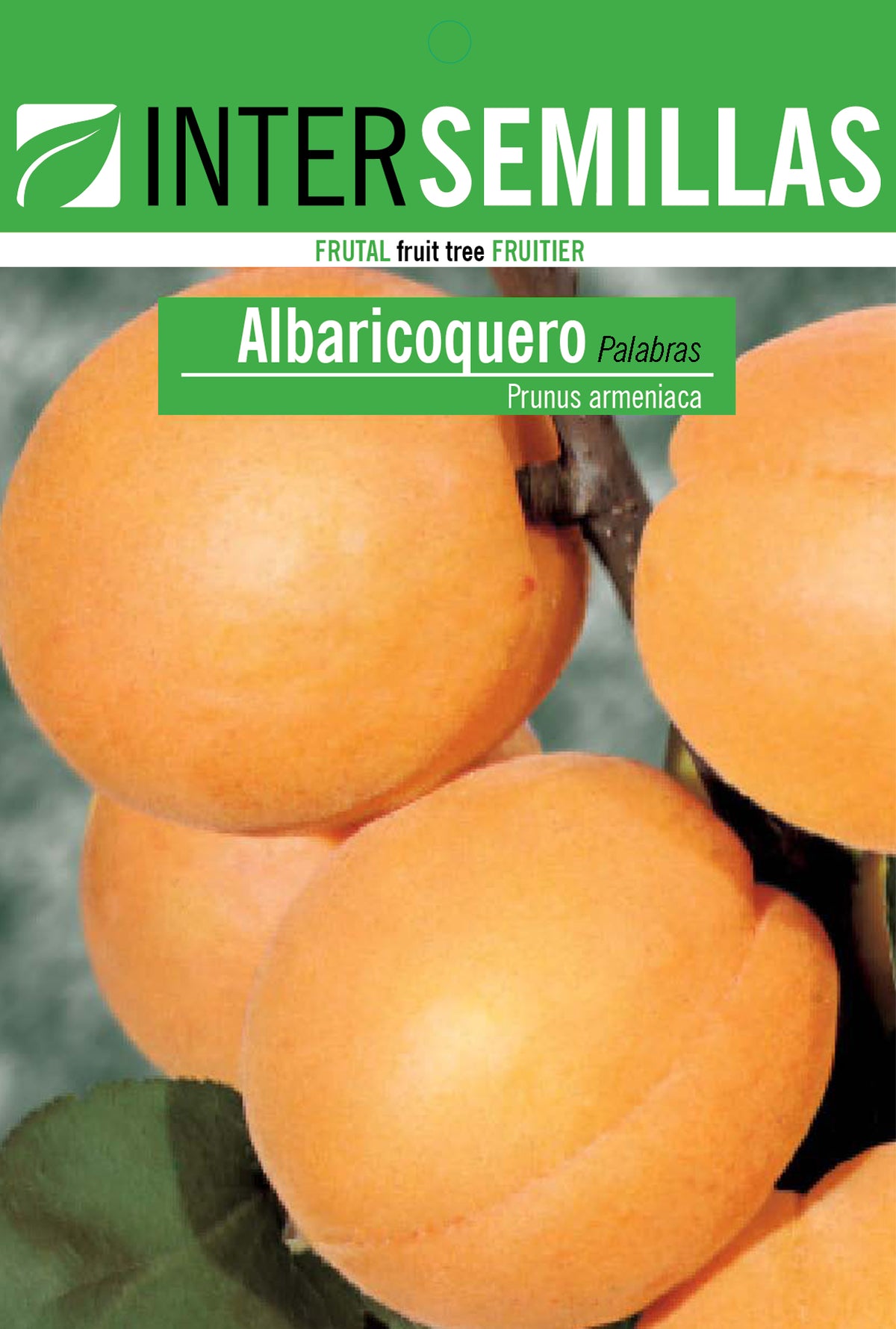 Frutal en bolsa Intersemillas - Albaricoquero Palabras