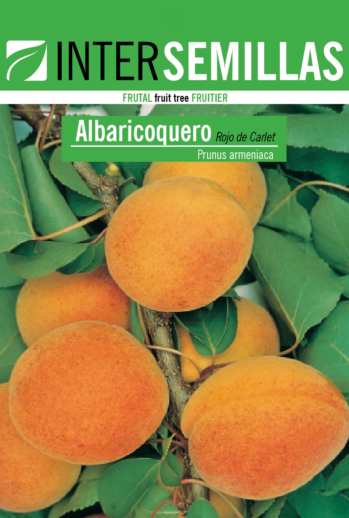 Frutal en bolsa Intersemillas - Albaricoquero Rojo de Carlet