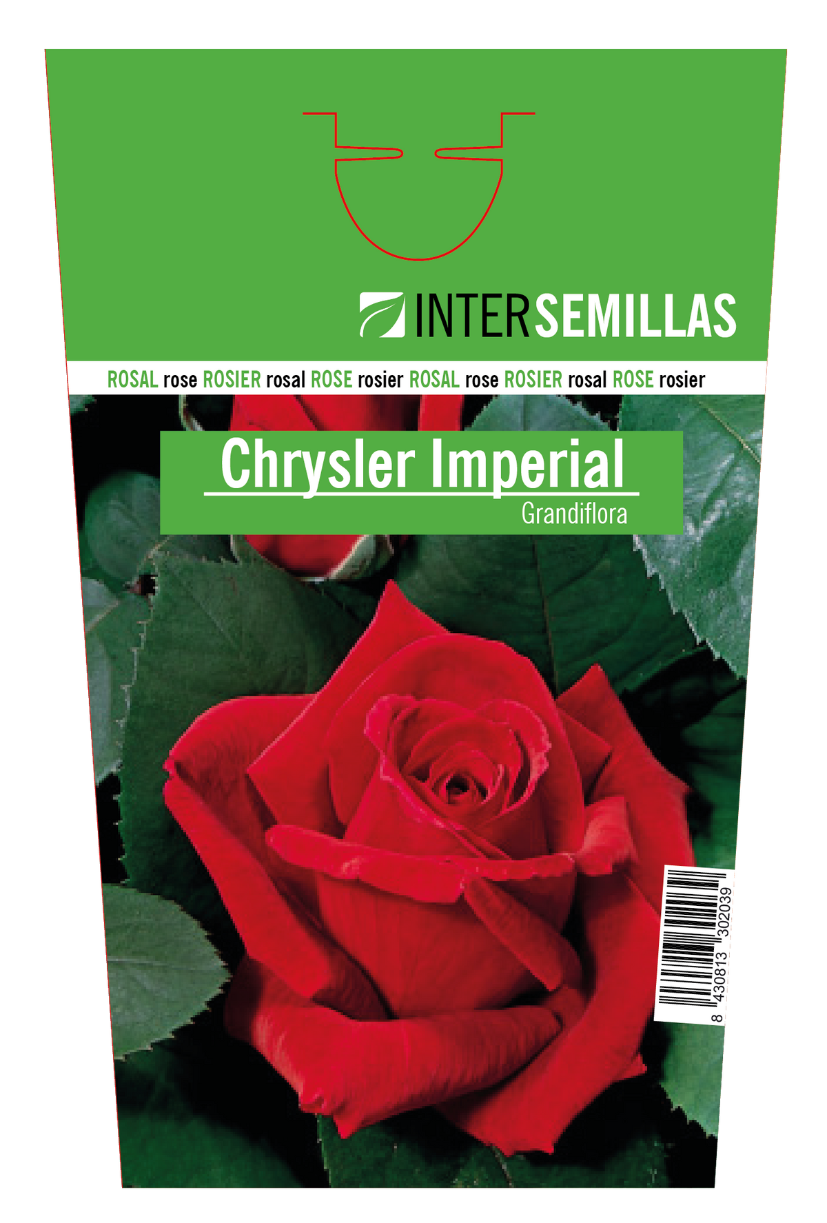 Rosal Intersemillas "Chrysler Imperial"