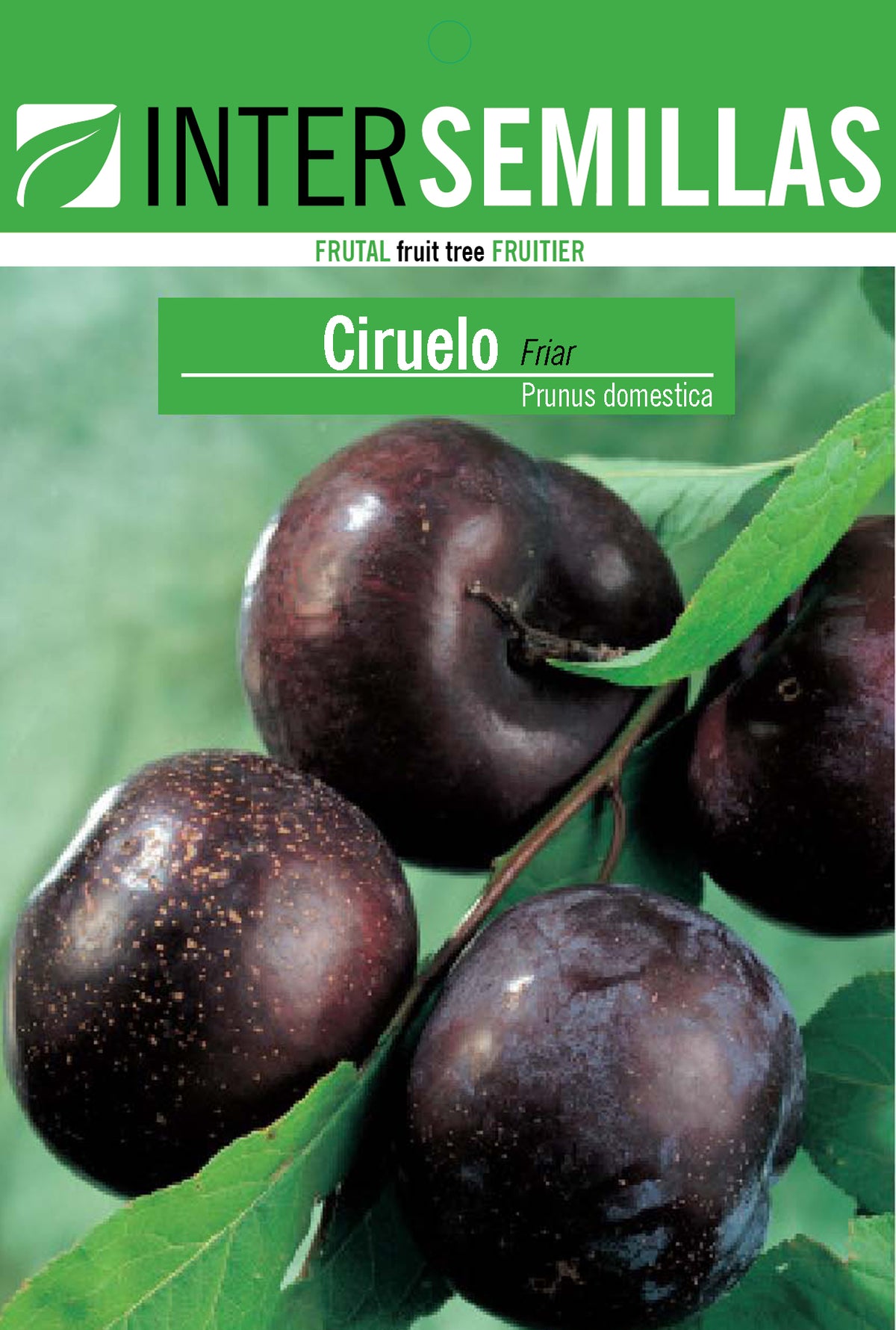 Frutal en bolsa Intersemillas - Ciruelo Friar