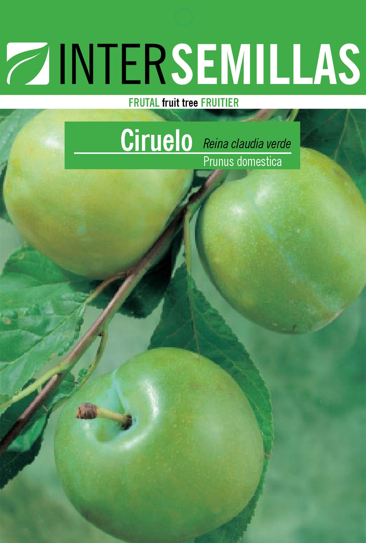 Frutal en bolsa Intersemillas - Ciruelo Reina Claudia