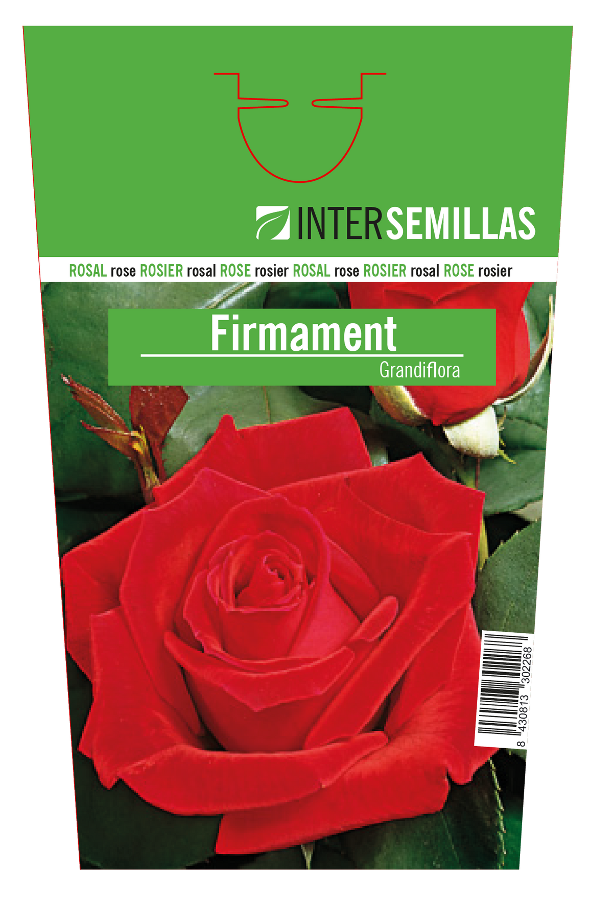 Rosal Intersemillas "Firmament"
