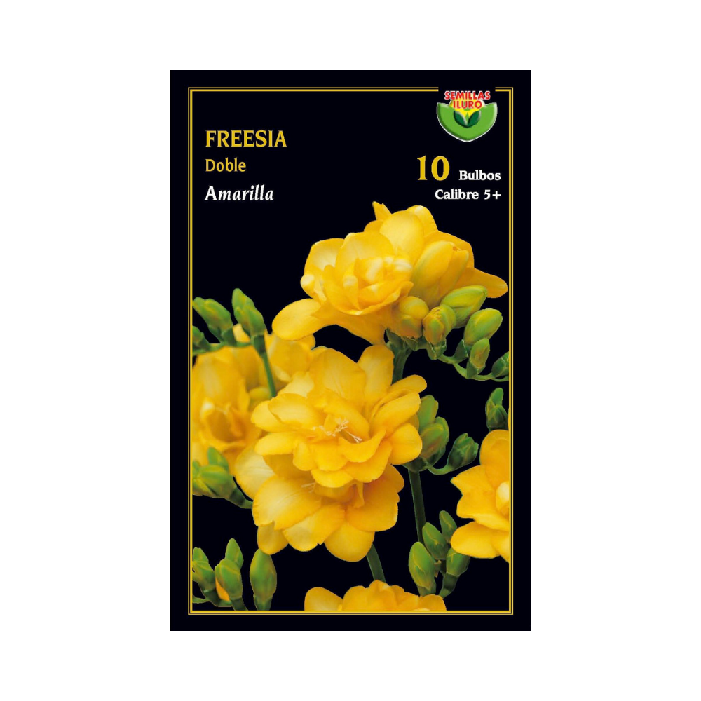 Freesia doble - Amarilla