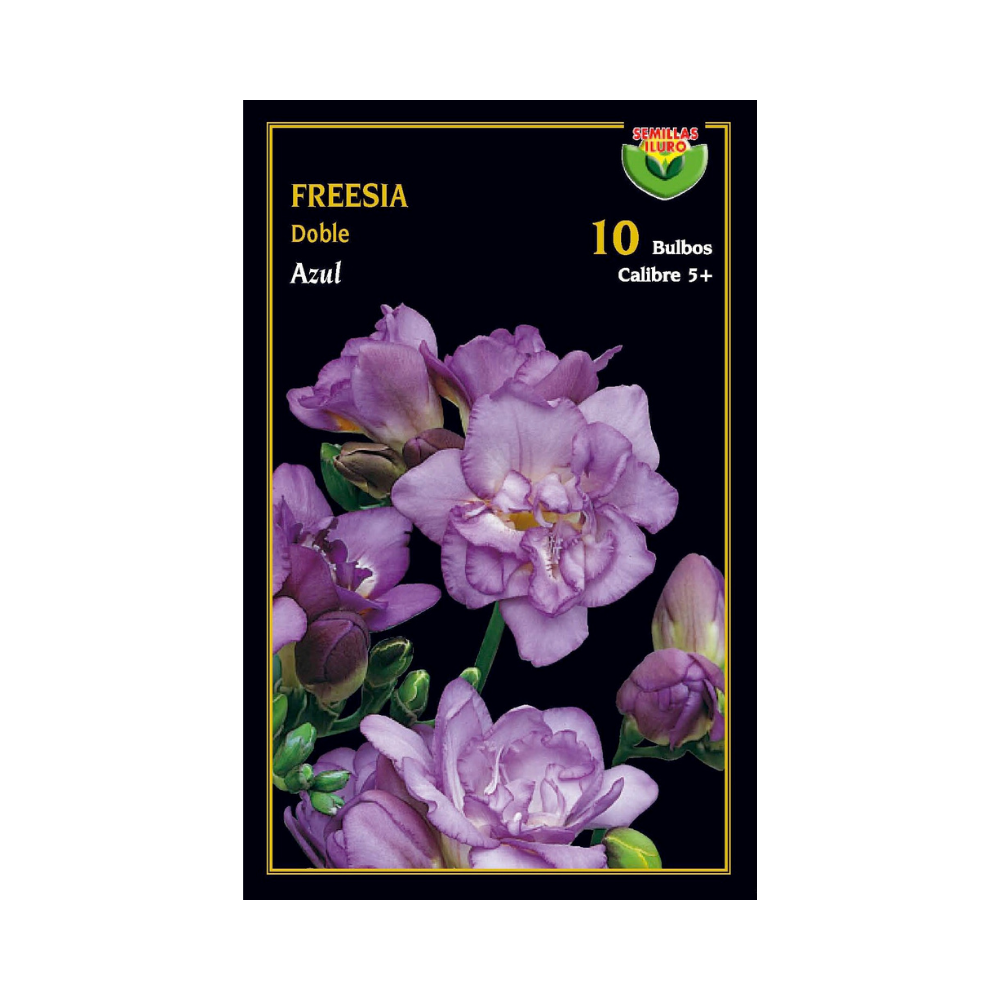 Freesia doble - Azul
