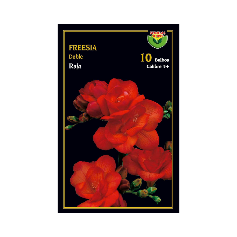 Freesia doble - Rojo