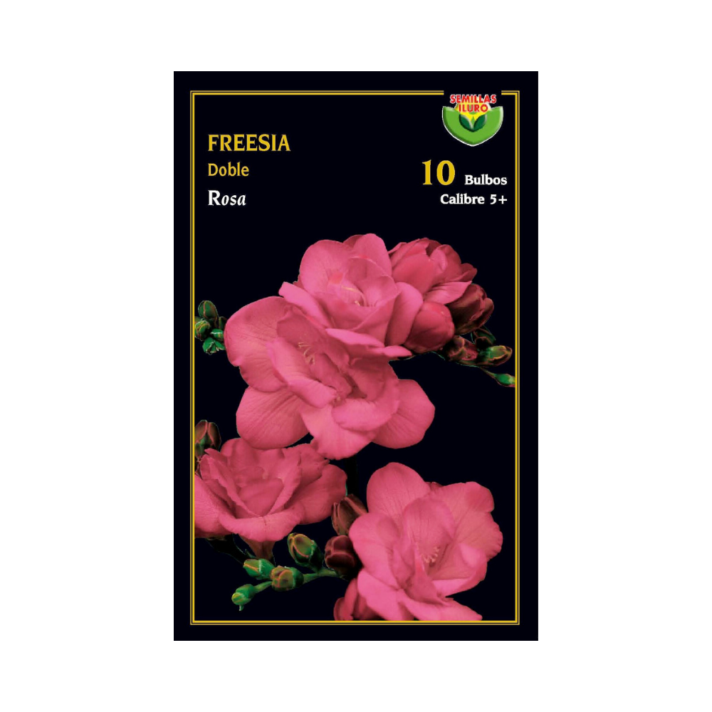 Freesia doble - Rosa