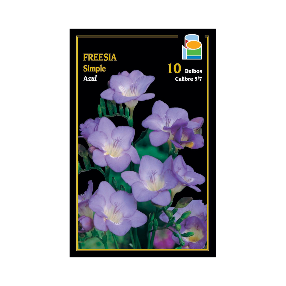 Freesia simple - Azul