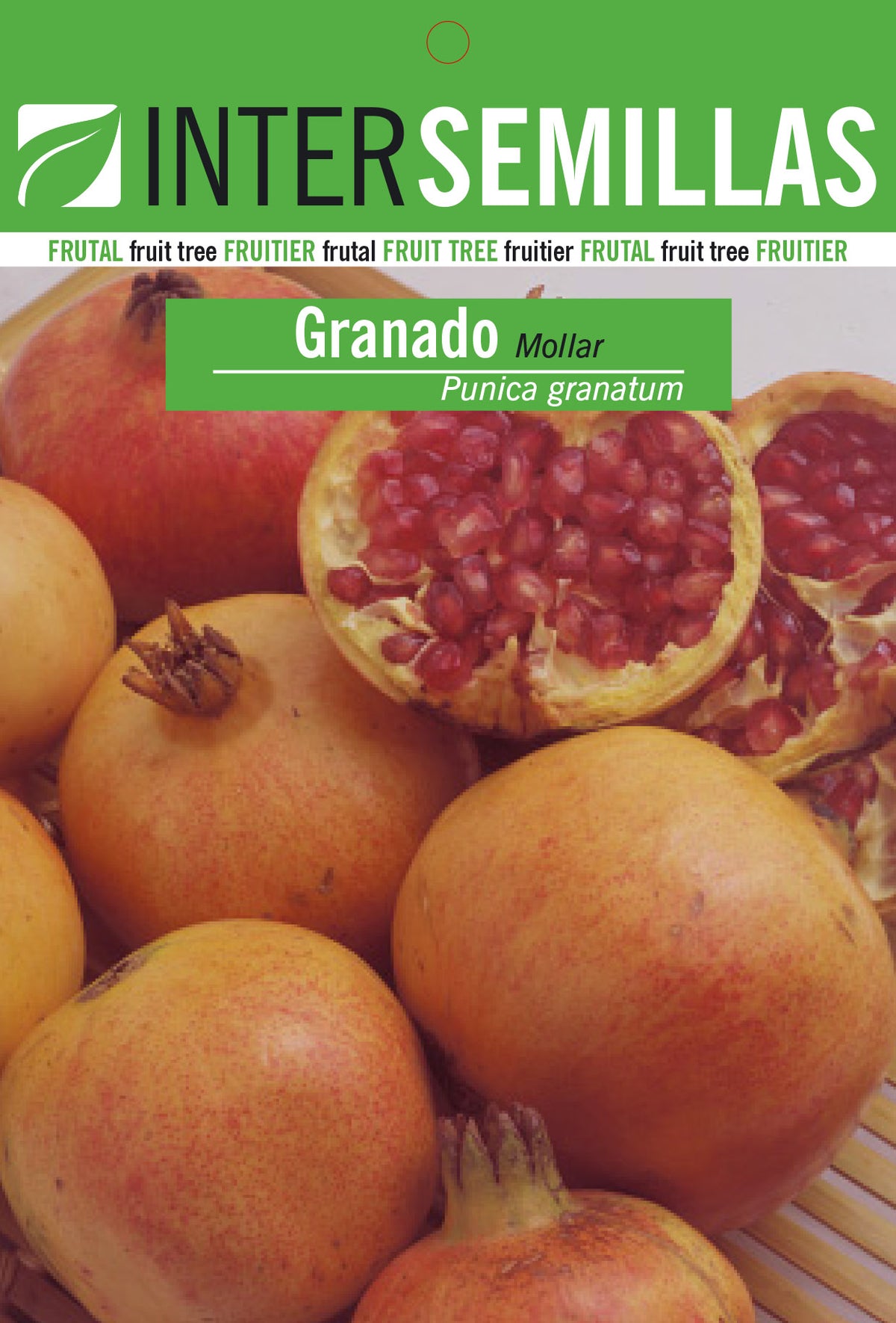 Frutal en bolsa Intersemillas - Granado Mollar