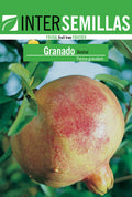 Frutal en bolsa Intersemillas - Granado Tendral